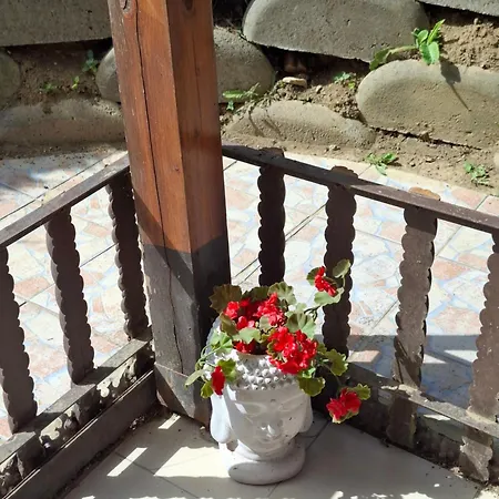 Ferienhaus House Hertelend Magyarhertelend